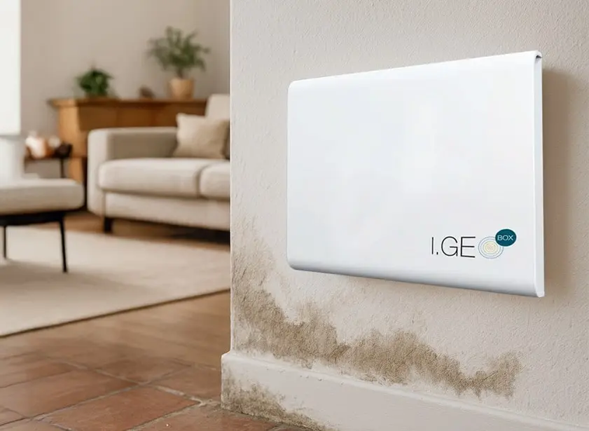 I.GEO BOX® em uma casa úmida - LABO AAI