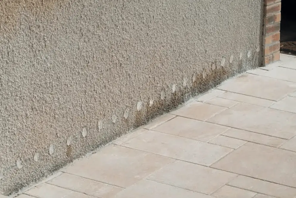 Tratamento anti-humidade por injeção de creme hidrofóbico DRY-JECT® - LABO AAI